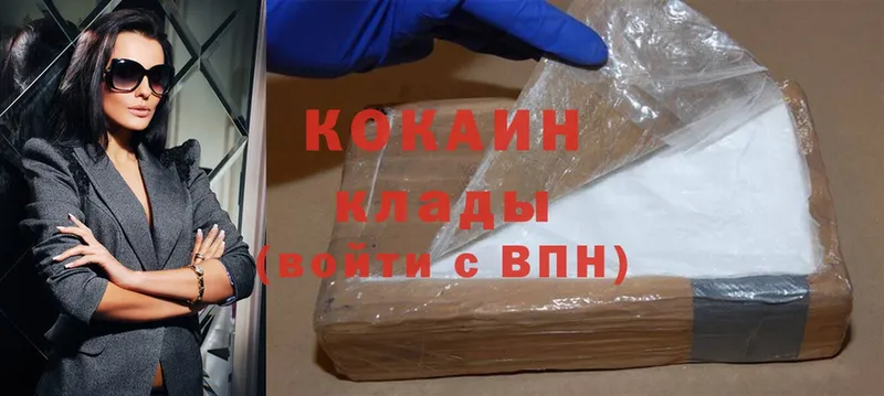 где можно купить наркотик  Новочебоксарск  COCAIN Fish Scale 